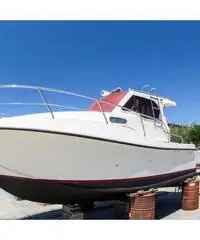 PROTEO 26 +2 x 150 HP VM PROTEO 26 +2 x 150 HP VM