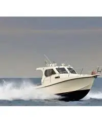 PROTEO 26 +2 x 150 HP VM PROTEO 26 +2 x 150 HP VM