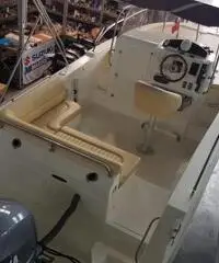 Mingolla barva 22wa Mingolla barva 22wa