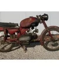 MotoBi Catria 175 Lusso 1a Serie MotoBi Catria 175 Lusso 1a Serie