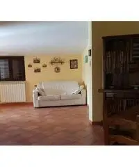 Partinico, terrasini, giardinelo rif. 24/19