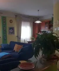 Castelvetrano appartamento 4 vani piano rialzato Castelvetrano appartamento 4 vani piano rialzato