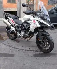 Trk 502 x Trk 502 x