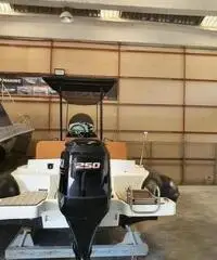 Giupex rib 26x con bagno suzuki 250 cv tutto 2020