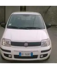 Fiat Panda 1.3 MJT 16V DPF Active per neopatentati - Brescia