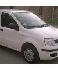 Fiat Panda 1.3 MJT 16V DPF Active per neopatentati - Brescia