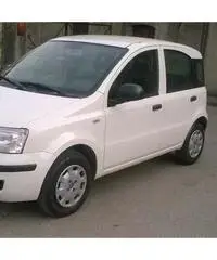 Fiat Panda 1.3 MJT 16V DPF Active per neopatentati - Brescia