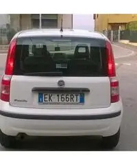 Fiat Panda 1.3 MJT 16V DPF Active per neopatentati - Brescia