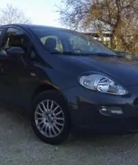 Punto 1.3 multijet 5 porte Easy - Abruzzo