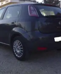 Punto 1.3 multijet 5 porte Easy - Abruzzo