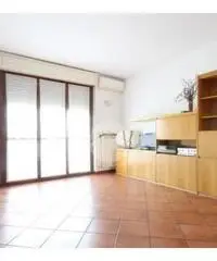 Trilocale doppi servizi Trilocale doppi servizi