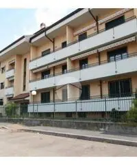 Trilocale doppi servizi Trilocale doppi servizi