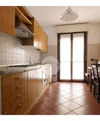 Trilocale doppi servizi Trilocale doppi servizi