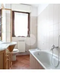 Trilocale doppi servizi Trilocale doppi servizi