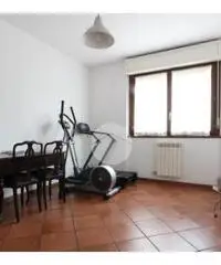 Trilocale doppi servizi Trilocale doppi servizi