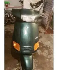 Zip Piaggio Zip Piaggio