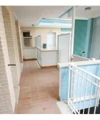 A questo Prezzo non Puoi non Comprarlo Contattaci A questo Prezzo non Puoi non Comprarlo Contattaci