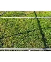 Gabbia per Polli 3x2m x 2mH-6mq - Verde Gabbia per Polli 3x2m x 2mH-6mq - Verde