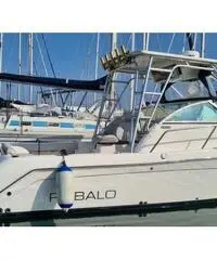 Barca Robalo R265 in perfette condizioni Barca Robalo R265 in perfette condizioni