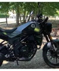 Benelli Leoncino 250 (300km) Benelli Leoncino 250 (300km)