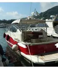 Portofino 11 sport fish Portofino 11 sport fish