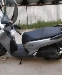 Sh 300 anno 2019
