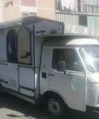 Camper Fiat 238 GPL/ BENZINA