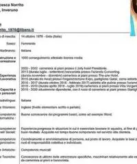 Vigilanza, commessa Vigilanza, commessa