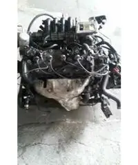 Acessori motore - Treviso