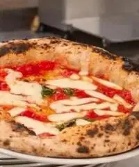 Pizzaiolo Pizzaiolo