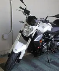 Benelli BN 302 naked BICILINDRICO - Benelli BN 302 naked BICILINDRICO -