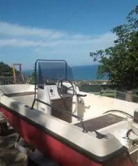 Sessa 385 + carrello trazionato