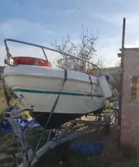 Mingolla brava 18