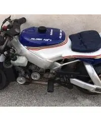 Minimoto polini