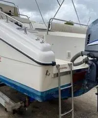 Euromarine 600 fish Yamaha 115 CV 4t 268 ore Euromarine 600 fish Yamaha 115 CV 4t 268 ore