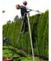 Giardiniere , Corriere, Autista Patente C Giardiniere , Corriere, Autista Patente C