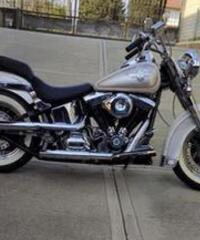 Harley Davidsons FLSTN Heritage special