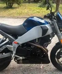 Buell xc 900 Buell xc 900