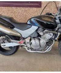 Hornet 600 Hornet 600