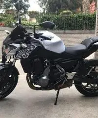 Kawasaki Z 650 - 2019