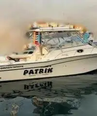 Grady White 330 + 2x350 hp Yamaha Grady White 330 + 2x350 hp Yamaha