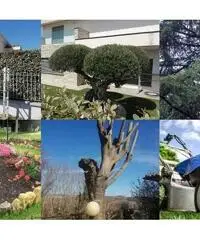 Giardiniere Manutenzione Aree Verdi Giardiniere Manutenzione Aree Verdi