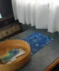 Acquistp ad altro camper Acquistp ad altro camper
