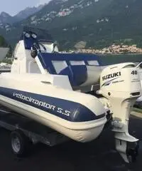 Gommone Velociraptor con Suzuki DF 40 Ari nuovo Gommone Velociraptor con Suzuki DF 40 Ari nuovo