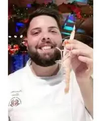 PaninaroPaninaro PaninaroPaninaro