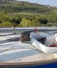 Barca a vela 6 mt 300 euro