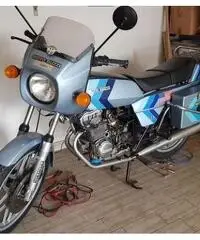 Moto Guzzi Altro modello - 1981 Moto Guzzi Altro modello - 1981
