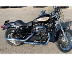 Harley Davidson sportster 1200 R 