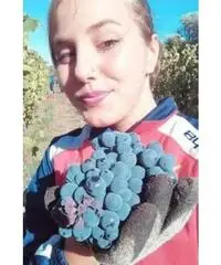 Dipendente Dipendente