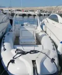 Gommone Pholas 23 con motore Evinrude Gommone Pholas 23 con motore Evinrude